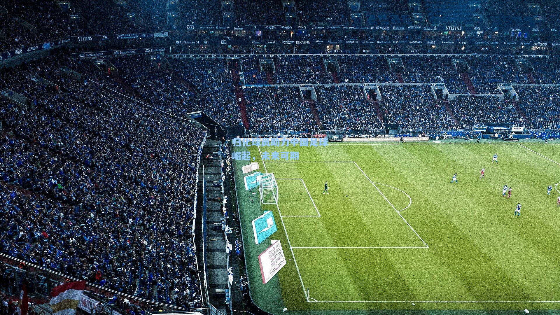 归化球员助力中国足球崛起，未来可期